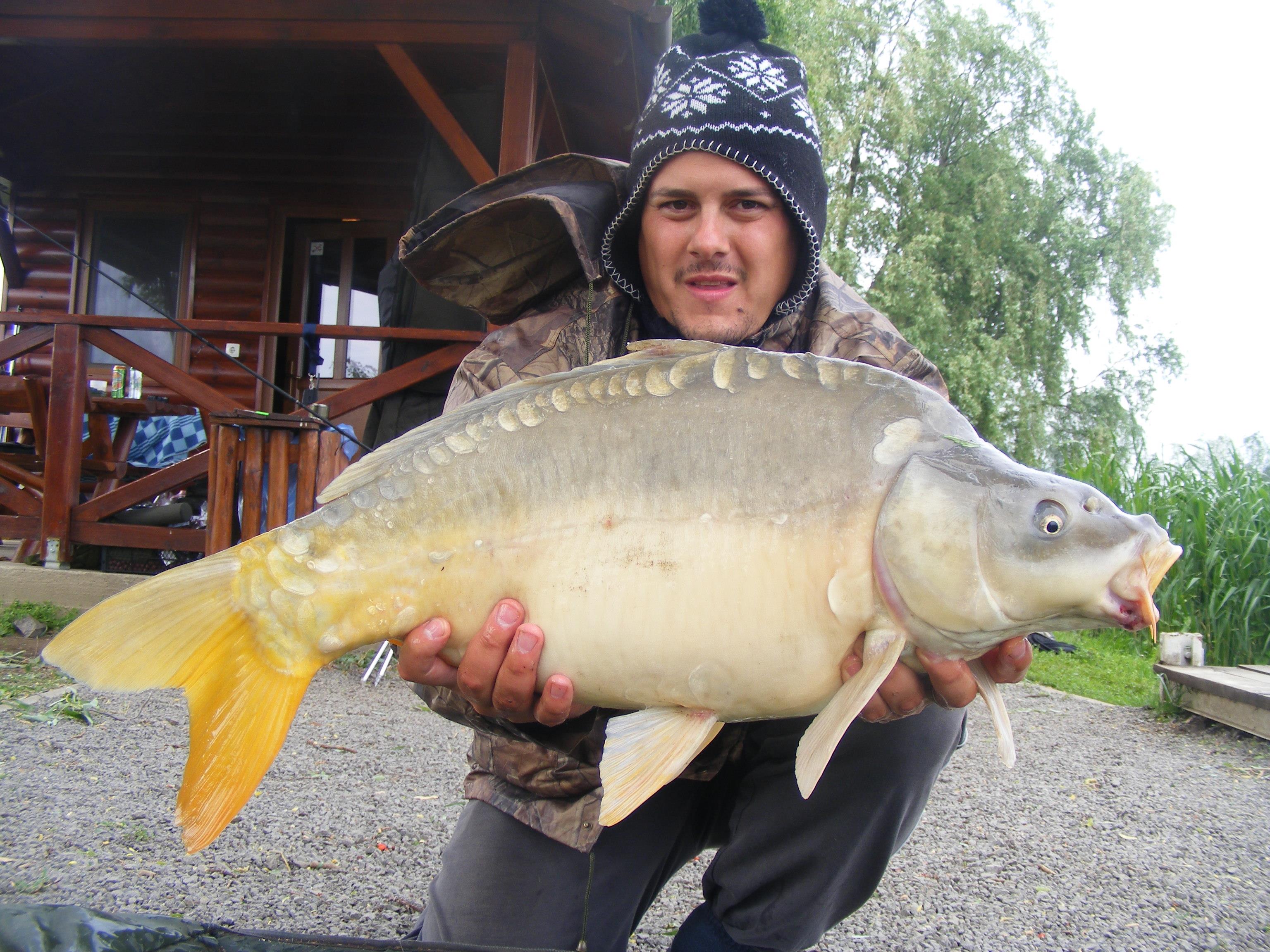 Nagykallo,13-17.05.2012  - DSCF5491.JPG